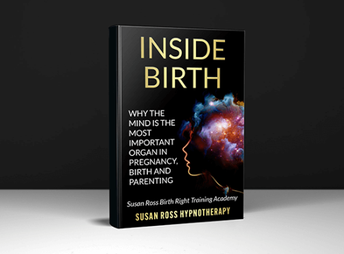 Inside Birth ebook