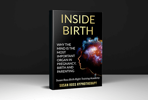 Inside Birth ebook